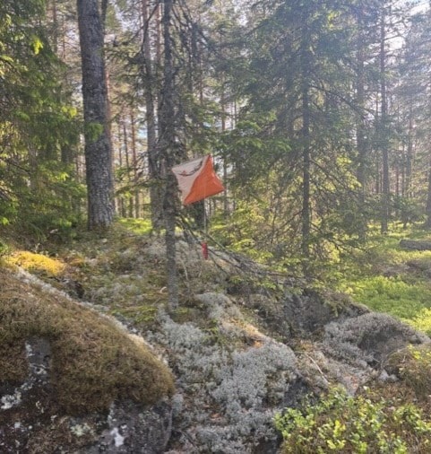 Treningsløp 4 Junger
